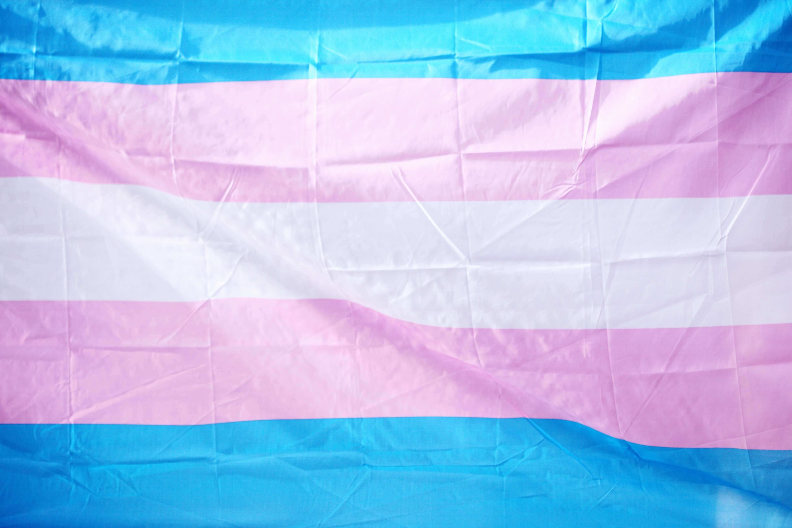 Dia Internacional de Memória Trans