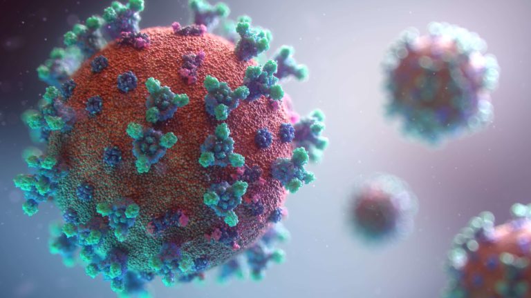 Coronavírus: quase 5 meses de crise sanitária no DF